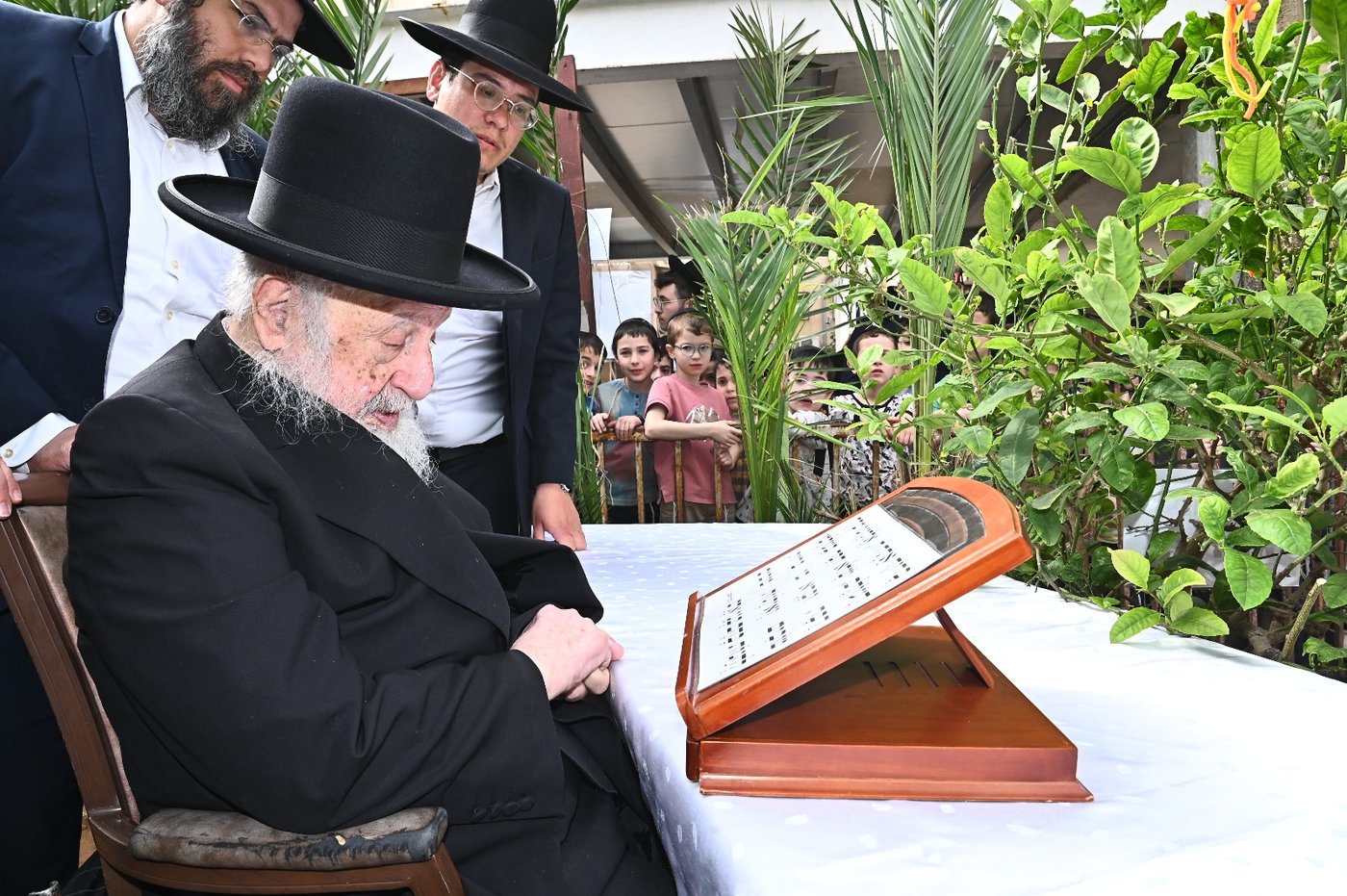 הגרב"ד פוברסקי בברכת האילנות