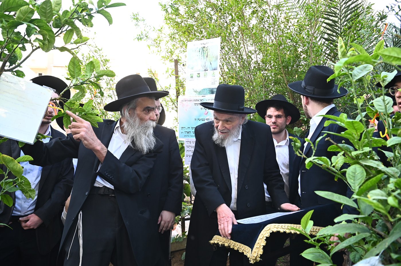 הגרמ"ה הירש בברכת האילנות
