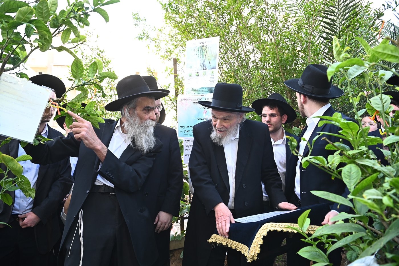 הגרמ"ה הירש בברכת האילנות