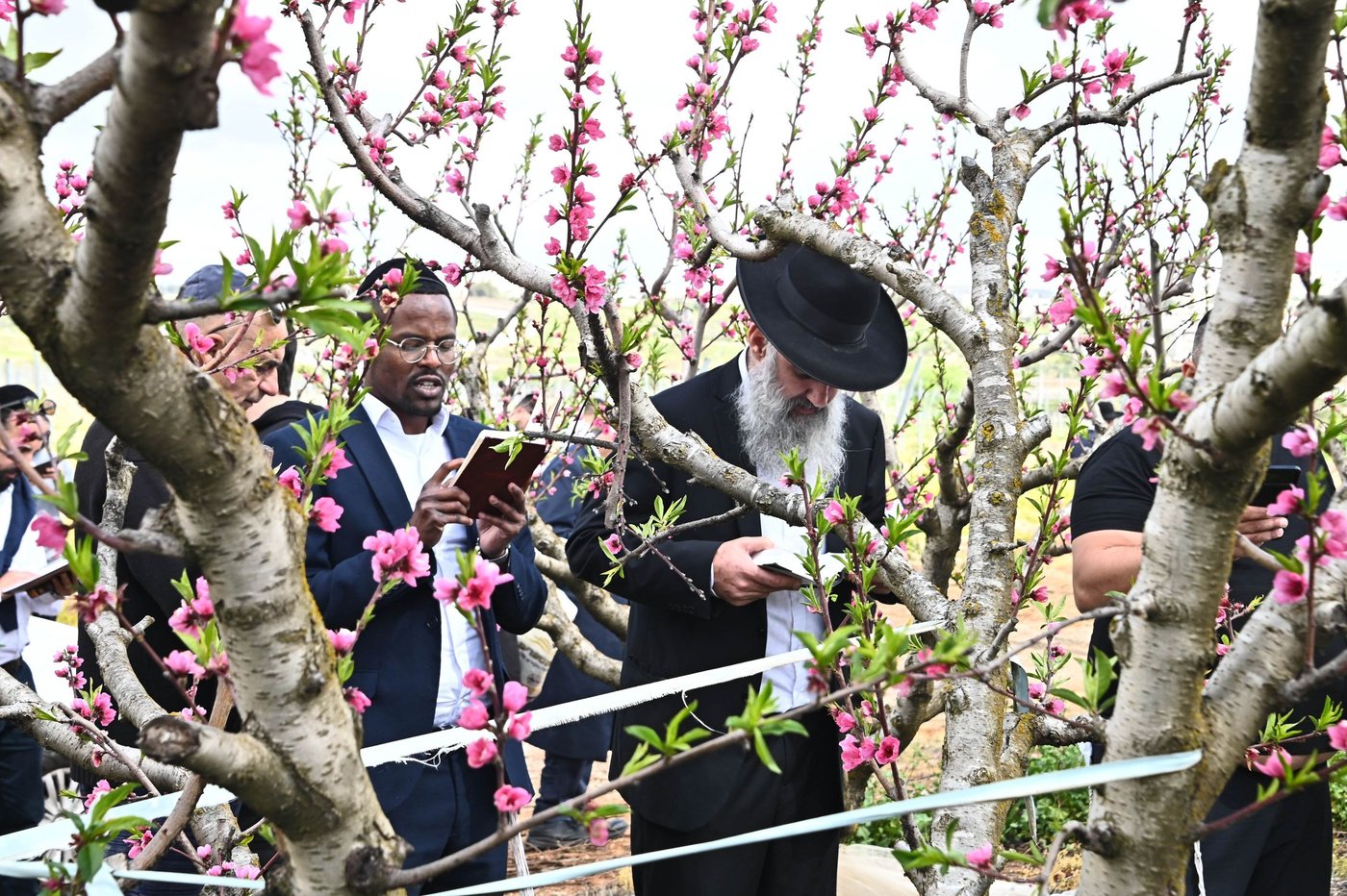 תושבי בני ברק בברכת האילנות