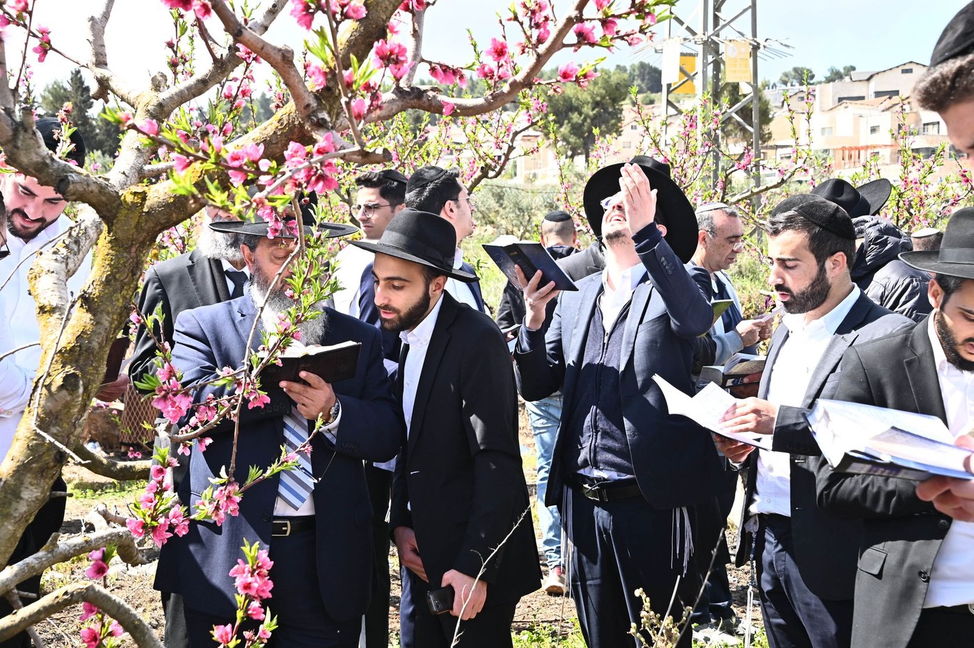 תושבי בני ברק בברכת האילנות