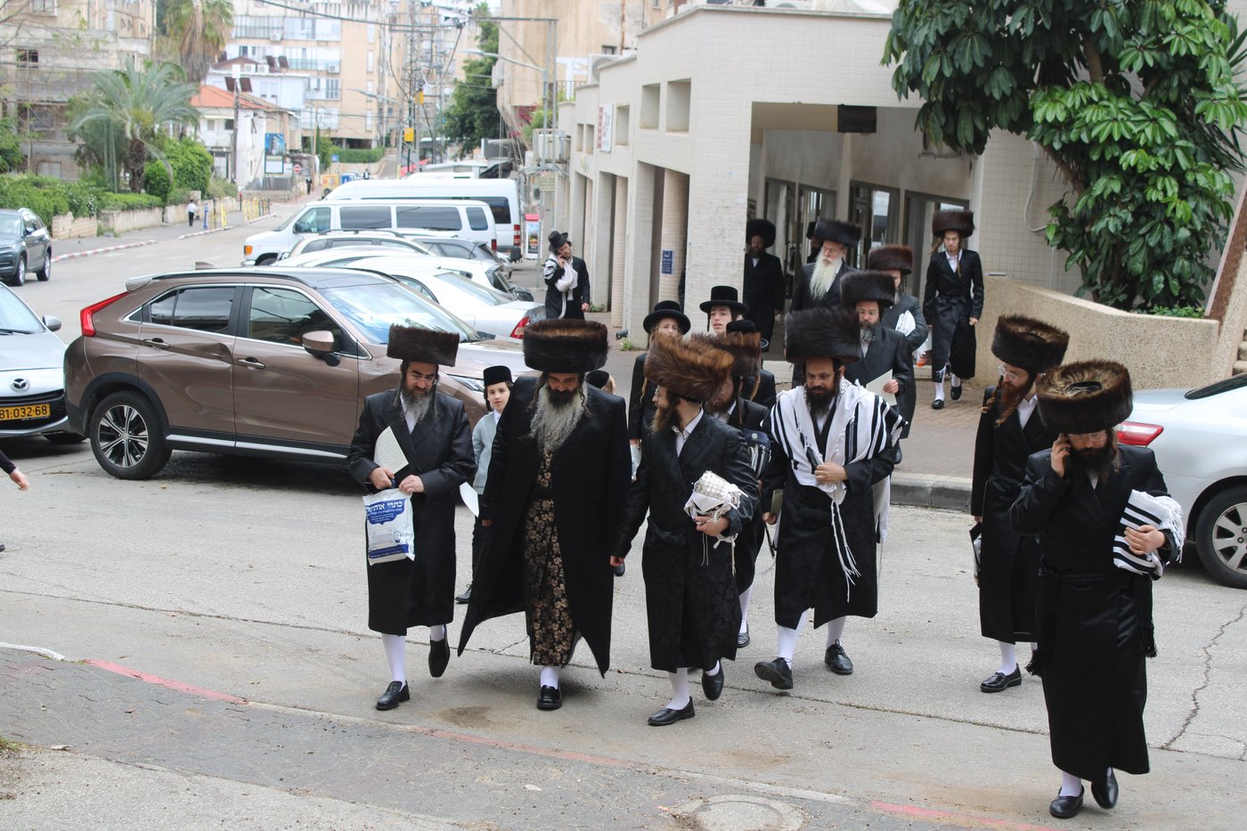 האדמו"ר מזוטשקא בברכת האילנות