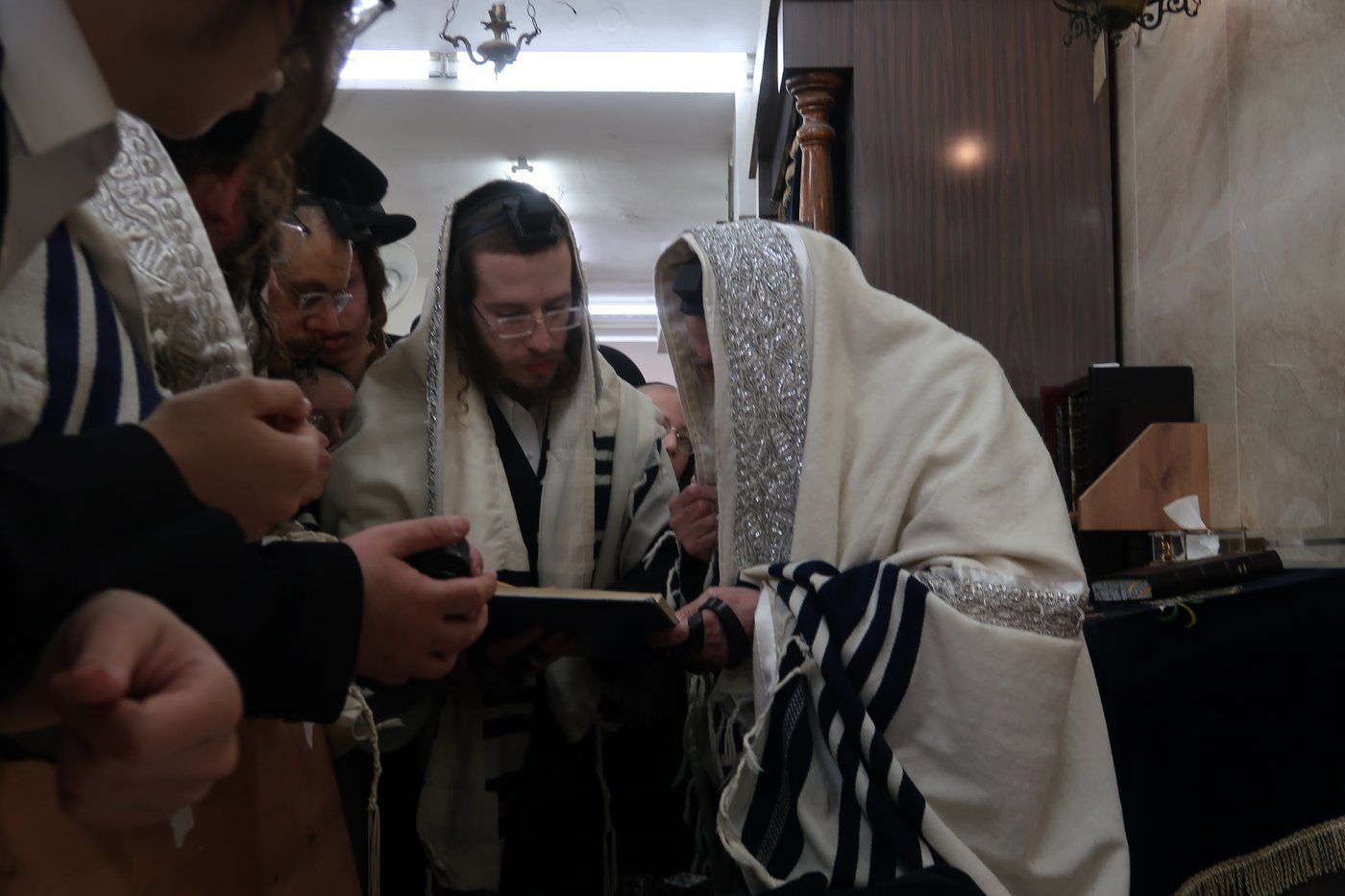 האדמו"ר ממחנובקא בעלזא בסיום בכורים ערב פסח