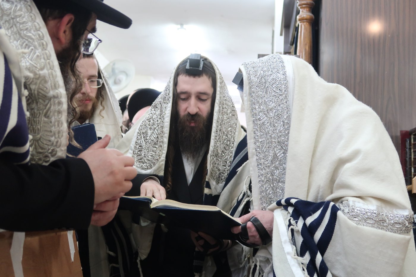 האדמו"ר ממחנובקא בעלזא בסיום בכורים ערב פסח