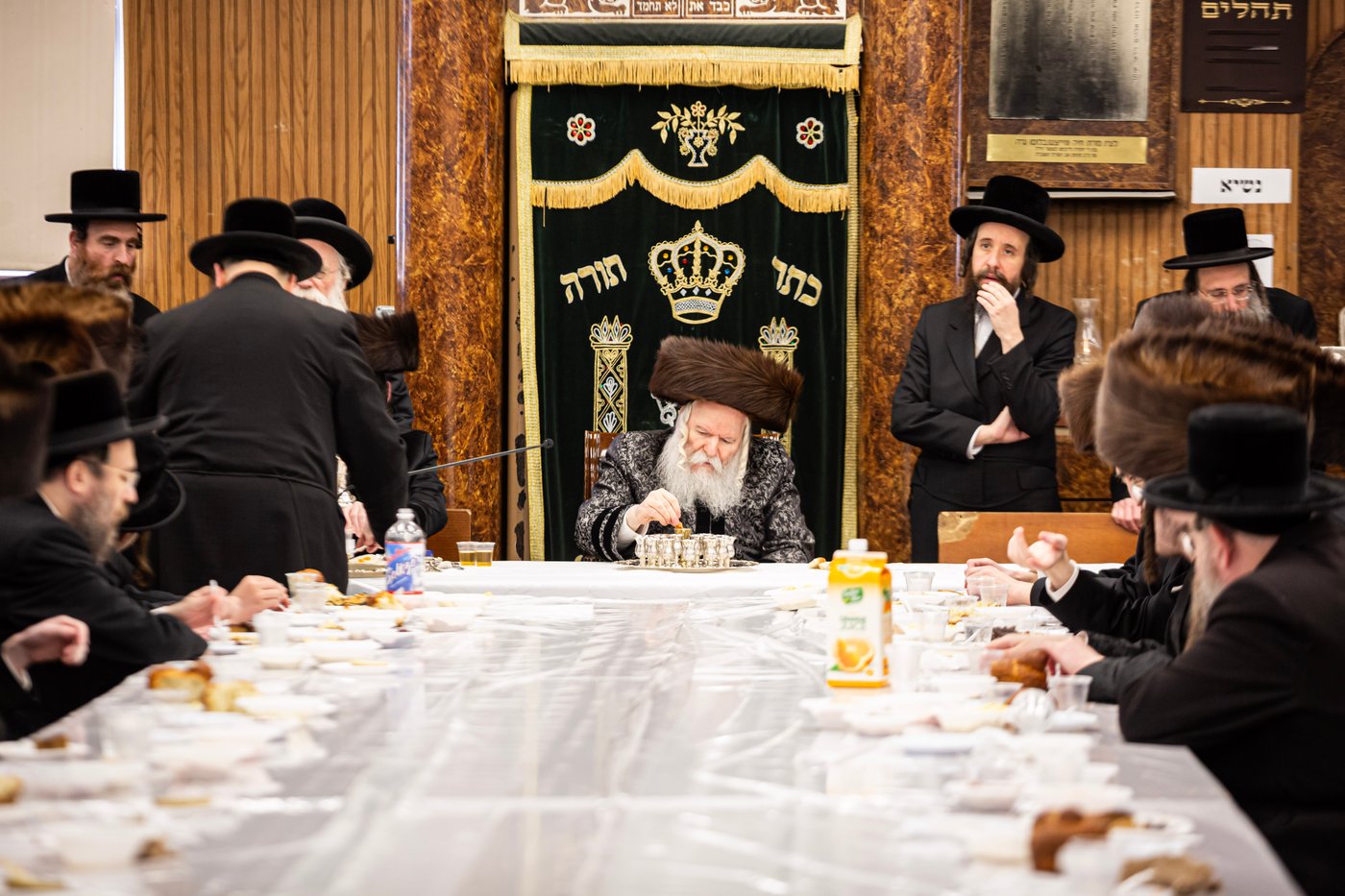 שמחת הברית לנכד האדמו"ר מבאבוב