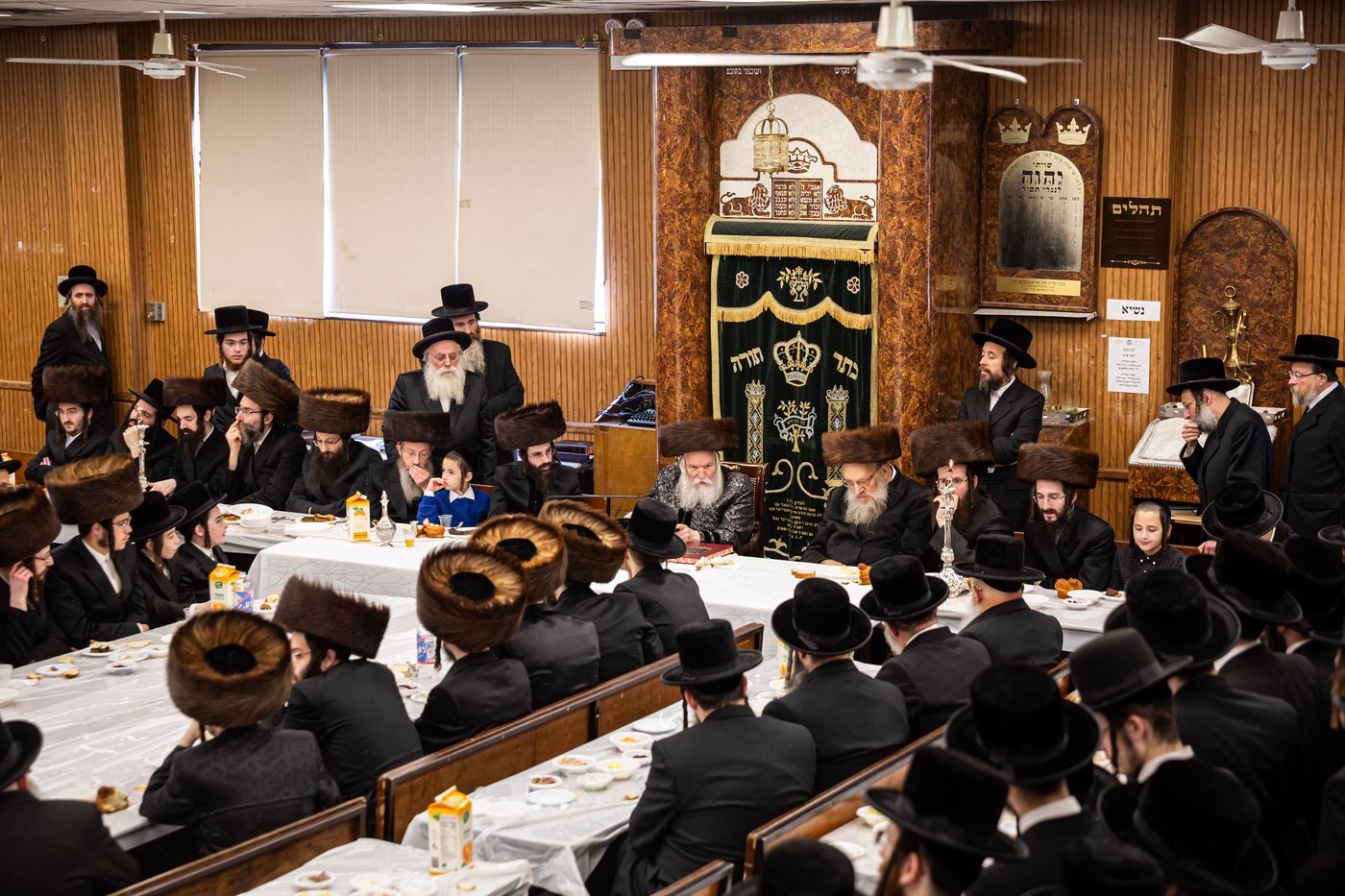 שמחת הברית לנכד האדמו"ר מבאבוב