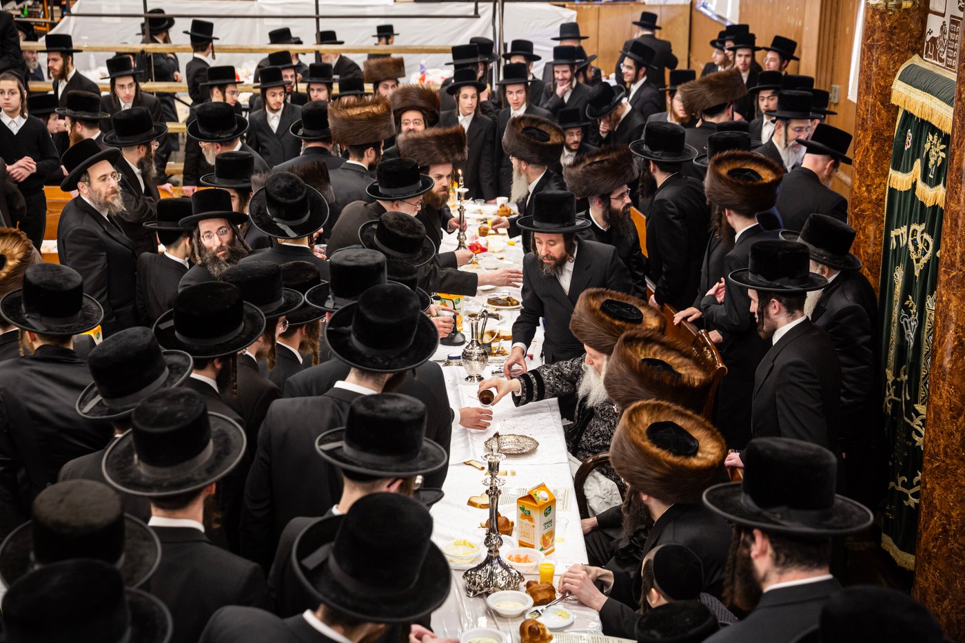 שמחת הברית לנכד האדמו"ר מבאבוב