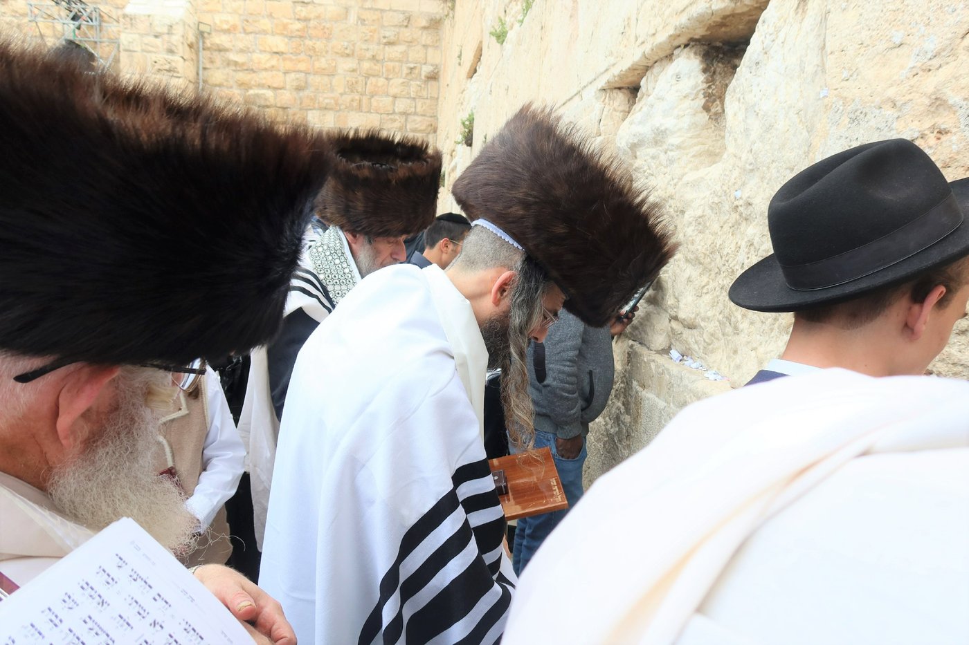 האדמו"ר מזוויעהיל בתפילה ע"י הכותל המערבי - חול המועד פסח