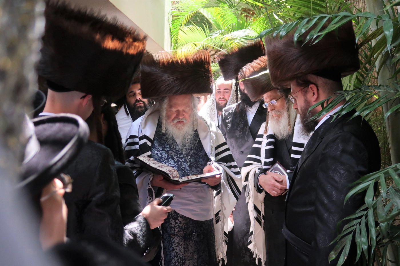 האדמו"ר מפרמישלאן בברכת האילנות