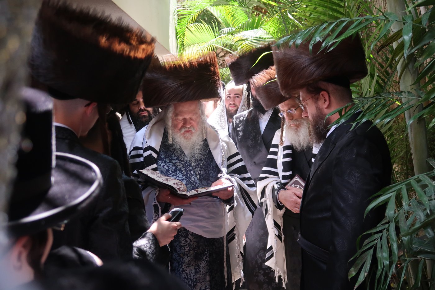 האדמו"ר מפרמישלאן בברכת האילנות
