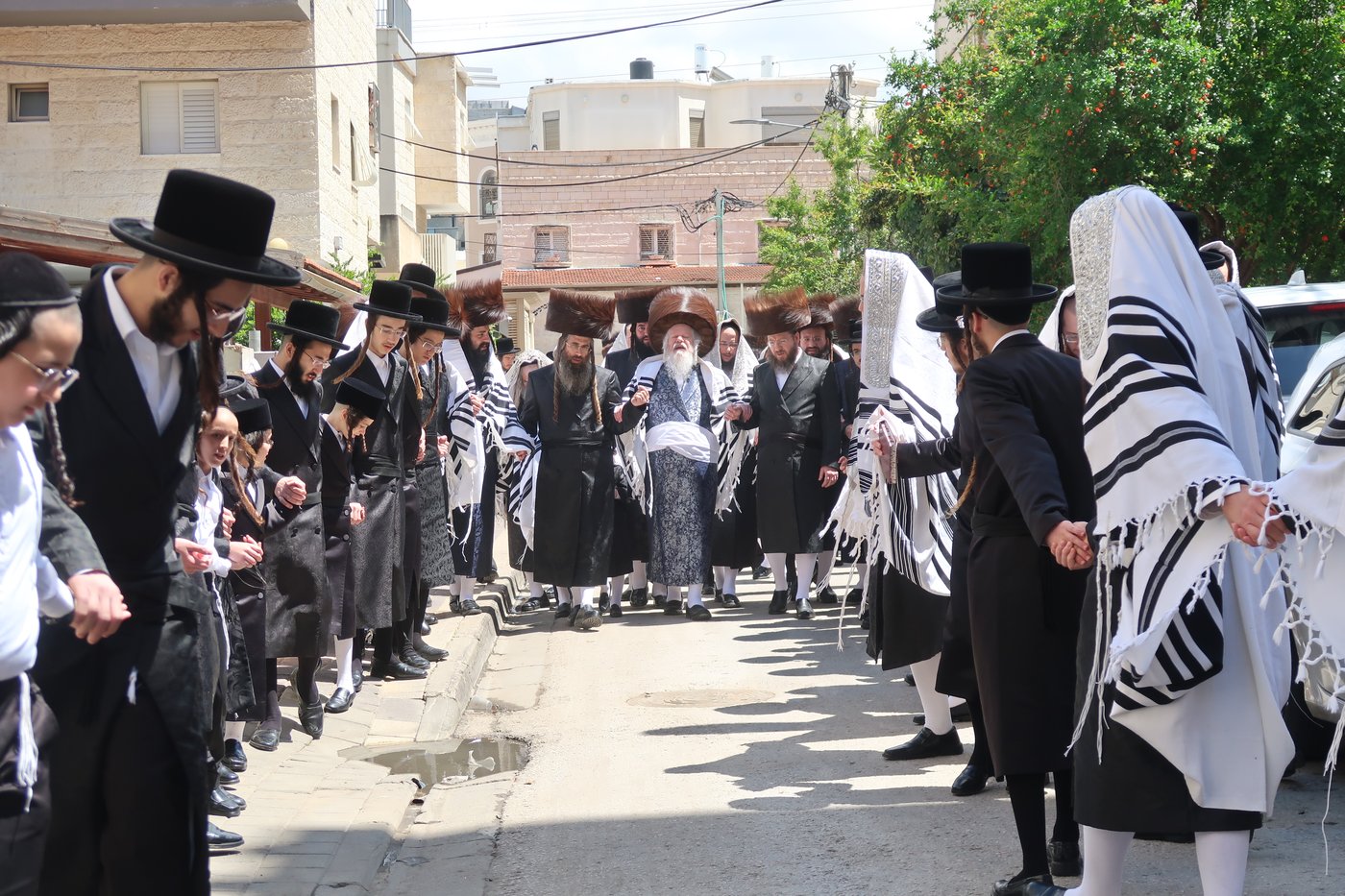 האדמו"ר מפרמישלאן בברכת האילנות