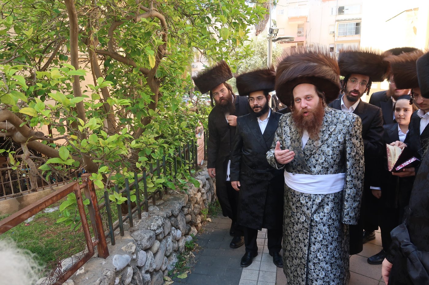 האדמו"ר ממיאלען בברכת האילנות
