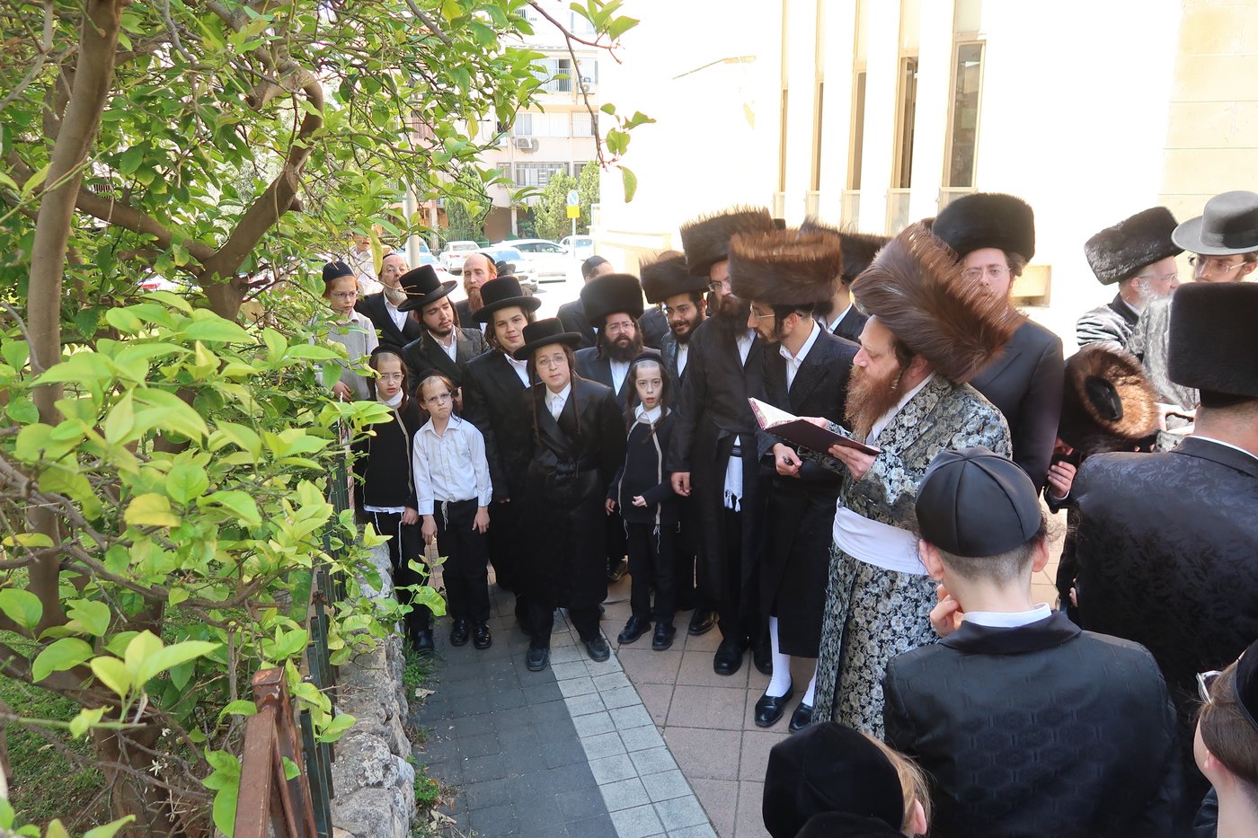 האדמו"ר ממיאלען בברכת האילנות