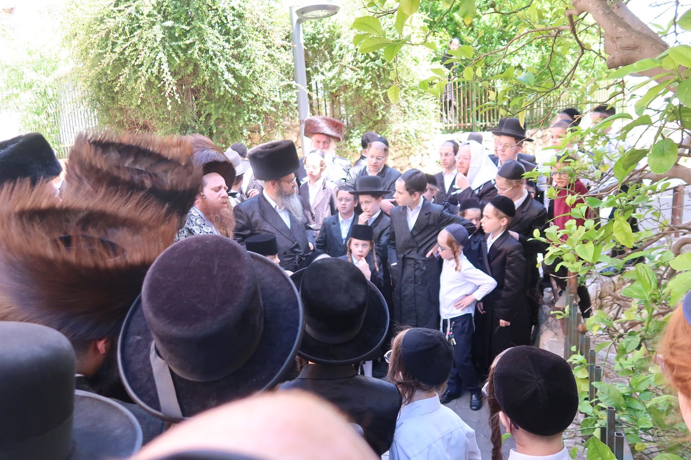 האדמו"ר ממיאלען בברכת האילנות