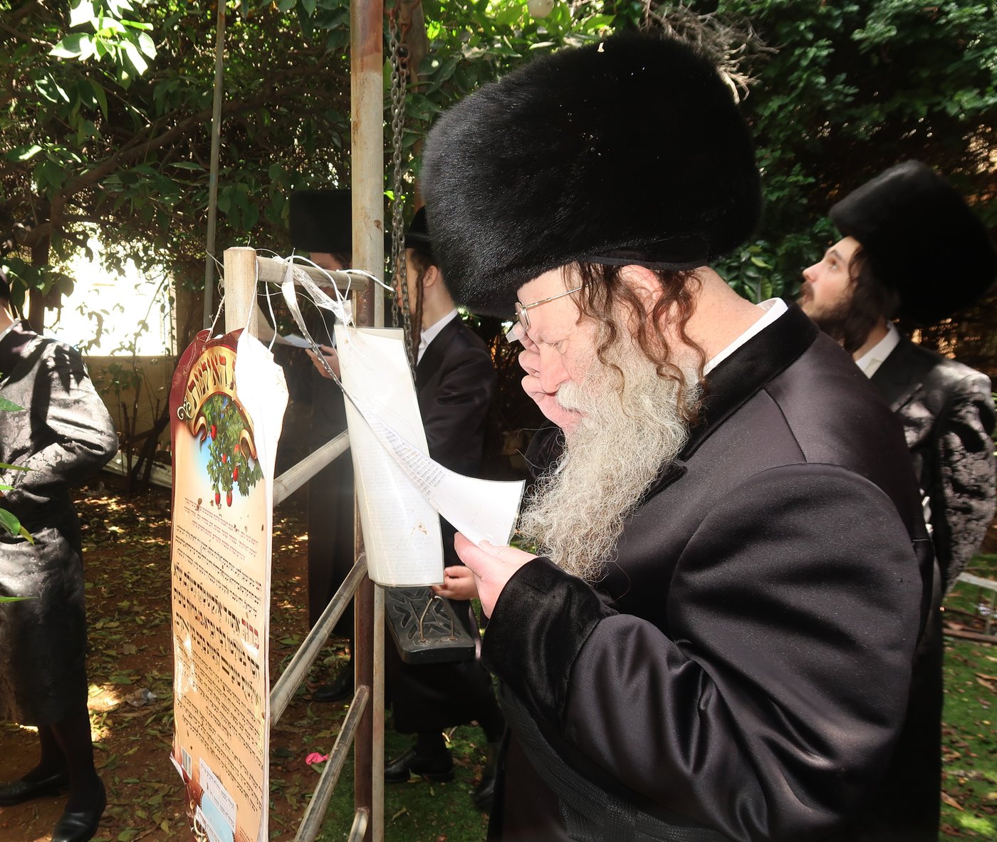 האדמו"ר מקוזמיר בברכת האילנות