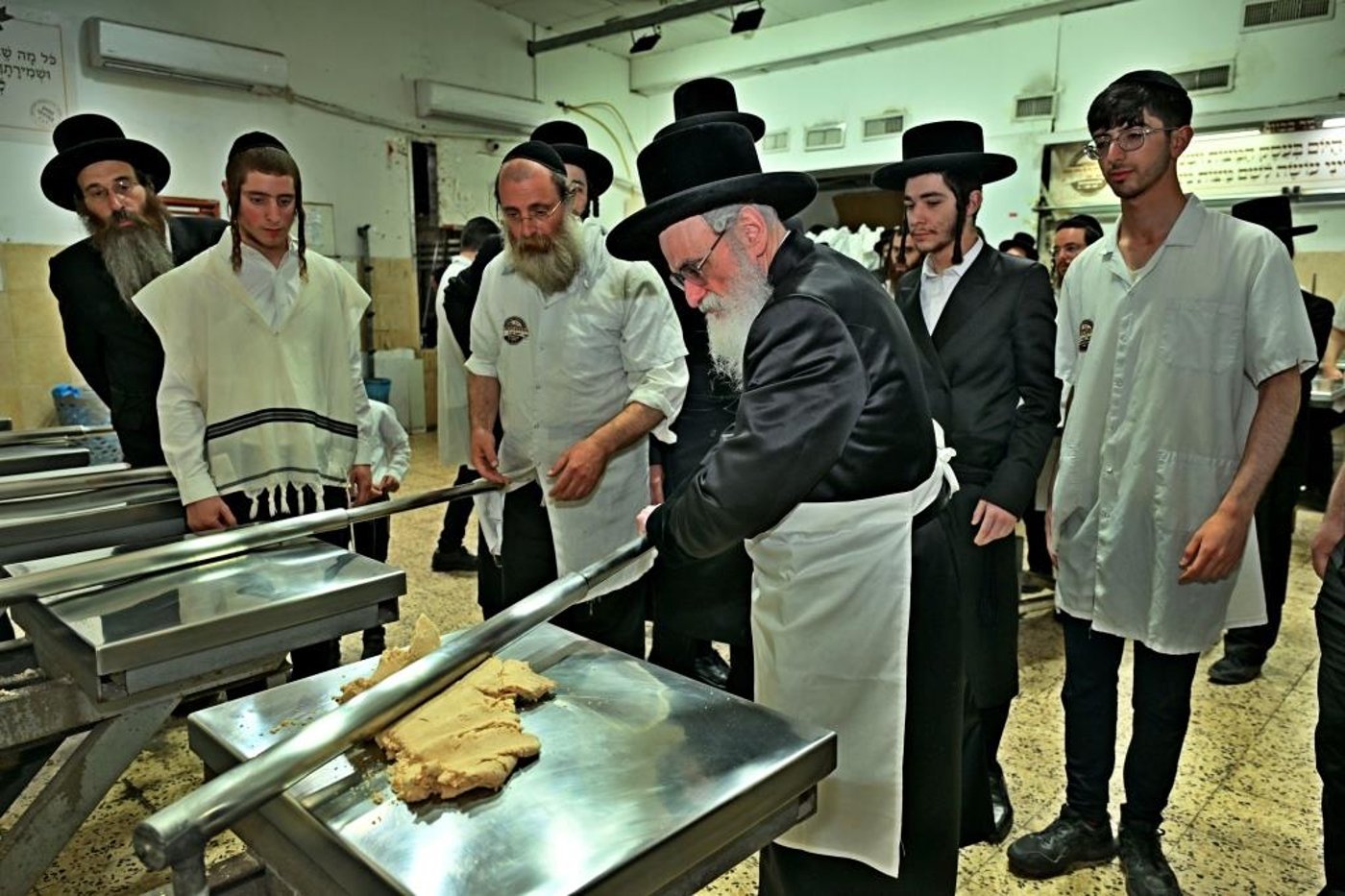 פסח בחצה"ק ויזניץ