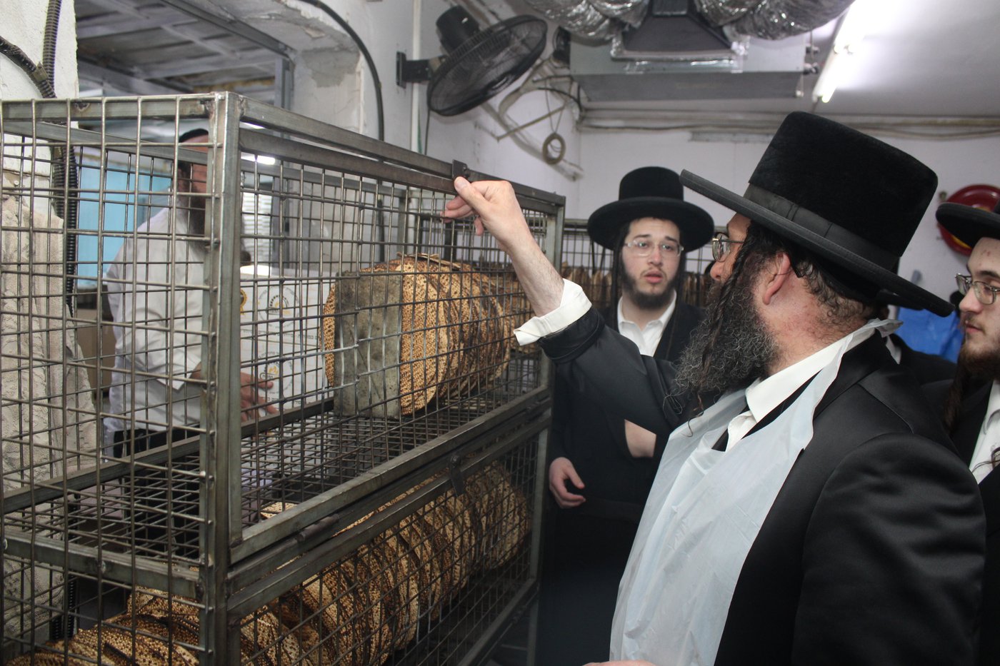 חג הפסח בחצה"ק ספינקא רמת אהרן