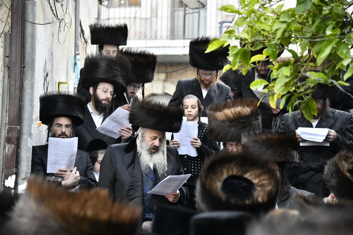 האדמו"ר מקרעטשניף י-ם בברכת האילנות