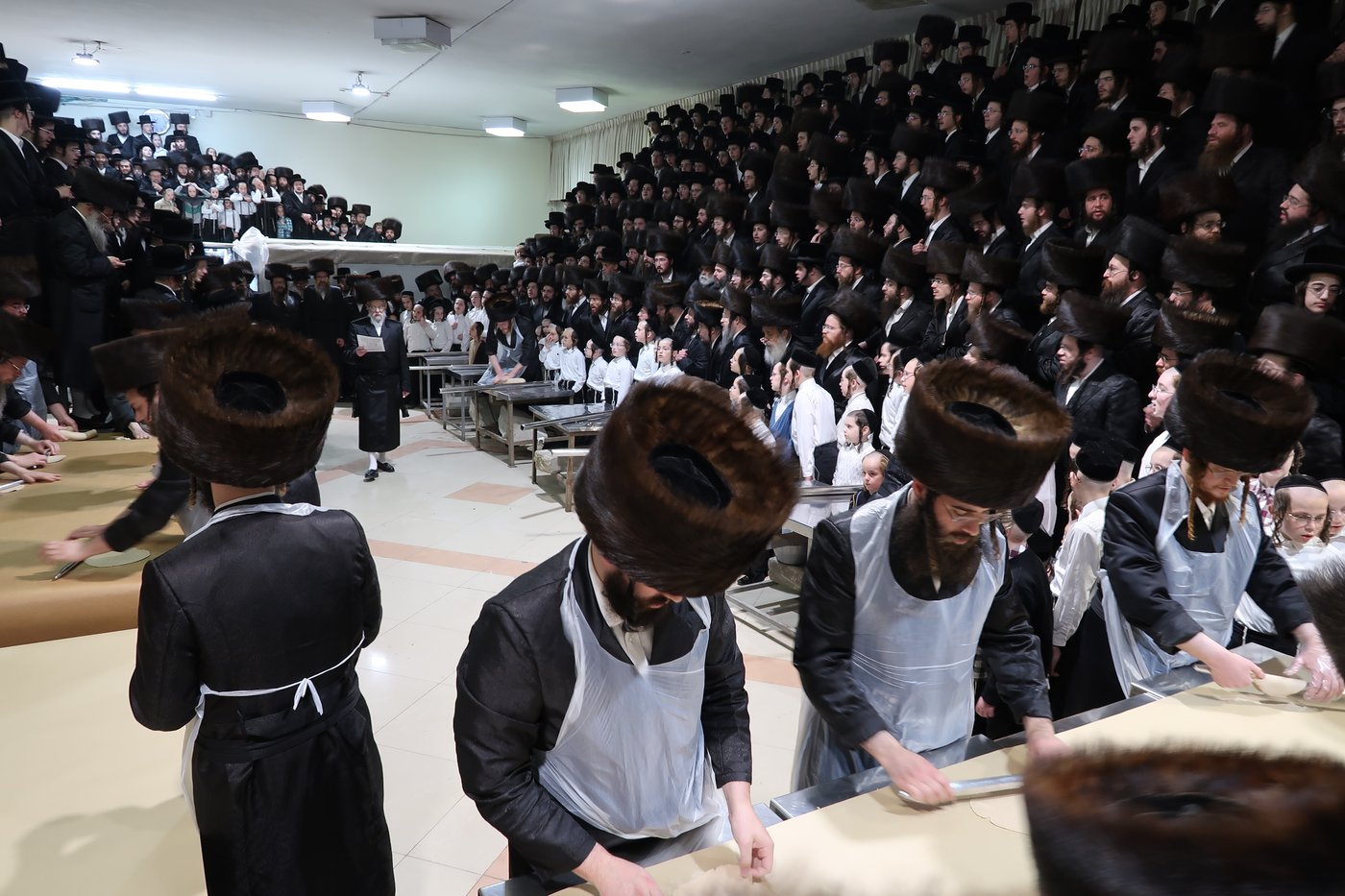חג הפסח בחצה"ק סערט ויז'ניץ
