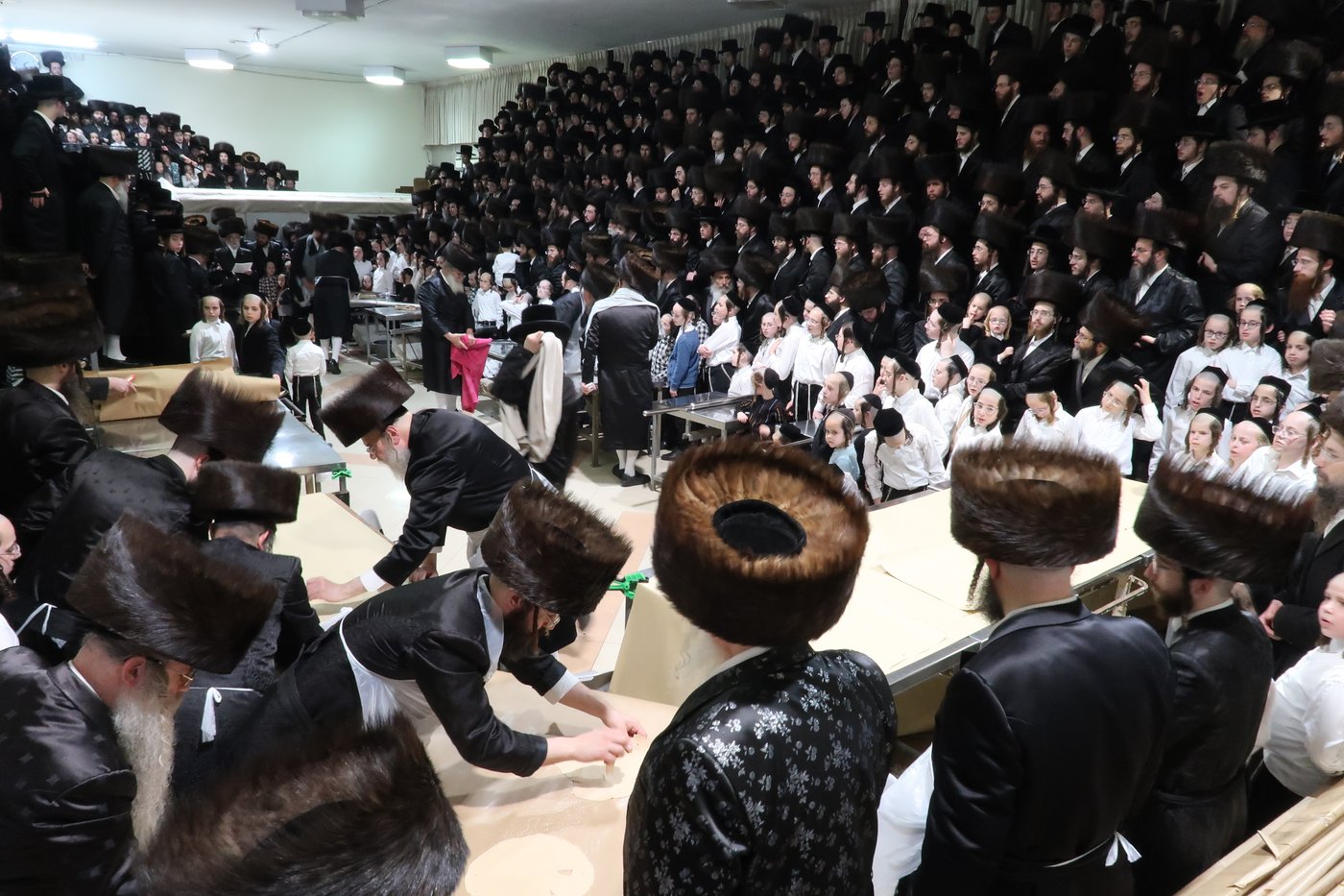 חג הפסח בחצה"ק סערט ויז'ניץ