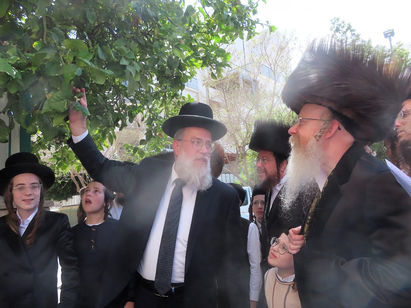 חג הפסח בחצה"ק קרעטשניף קריית גת 