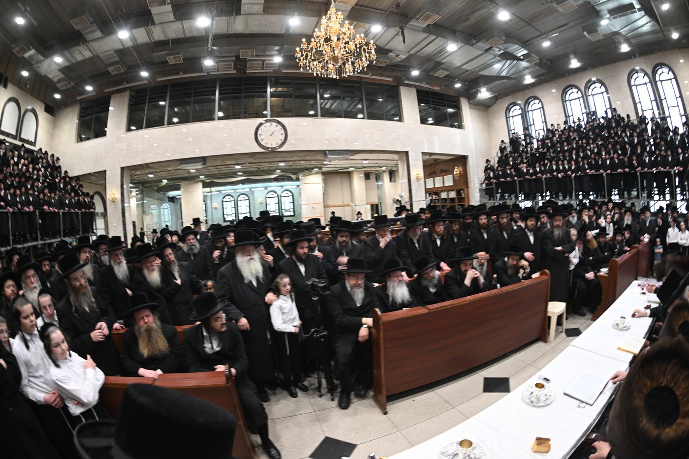 שמחת הברית לנין האדמו"ר מדארג