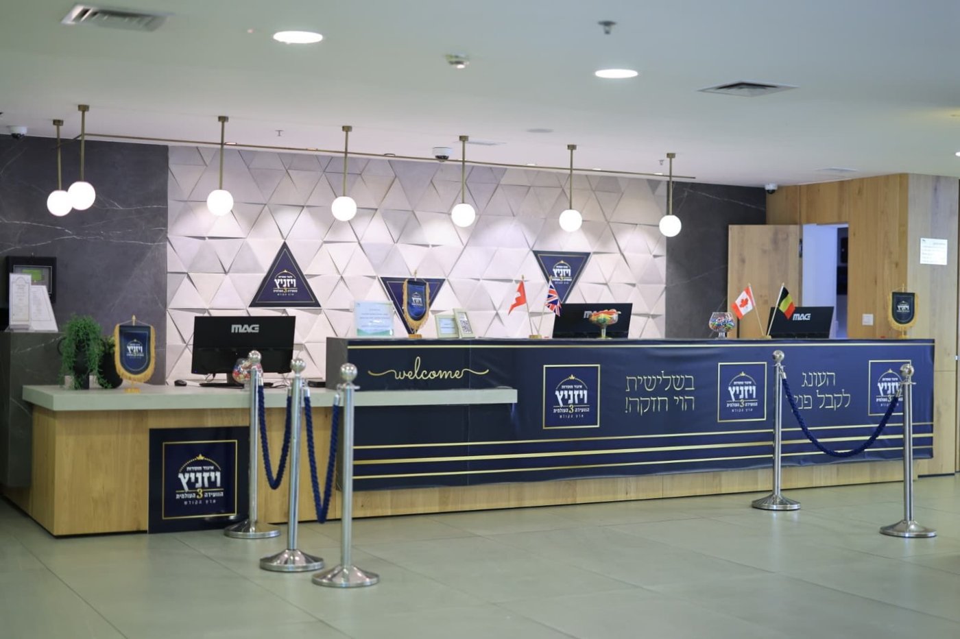 ועידת איגוד מוסדות ויז'ניץ