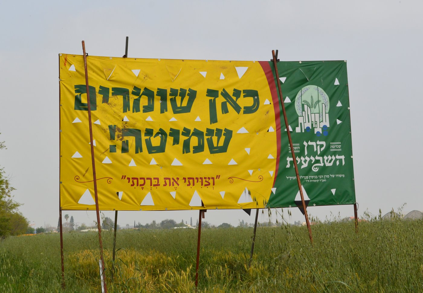 שלט שמיטה המוצב בשדה חקלאי - "כאן שומרים שמיטה"