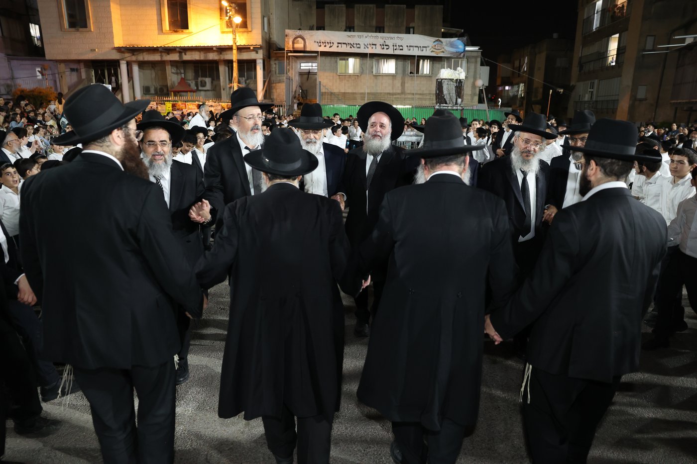 ל"ג בעומר בת"ת שתילי זיתים
