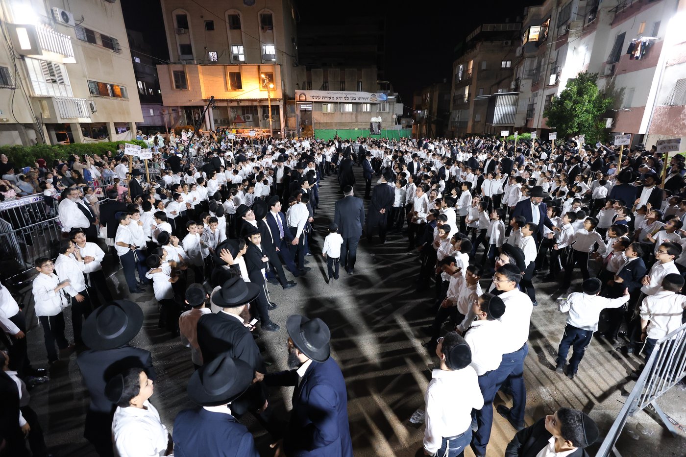 ל"ג בעומר בת"ת שתילי זיתים