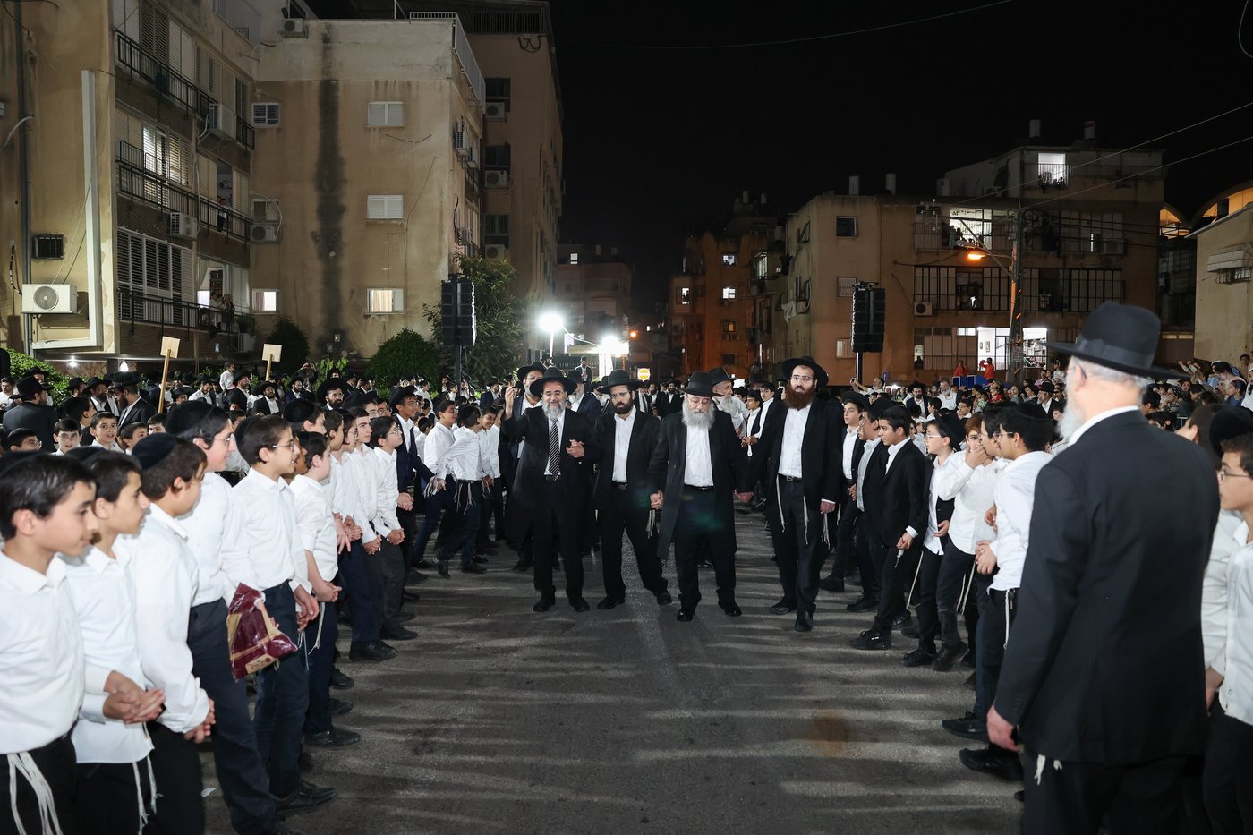 ל"ג בעומר בת"ת שתילי זיתים