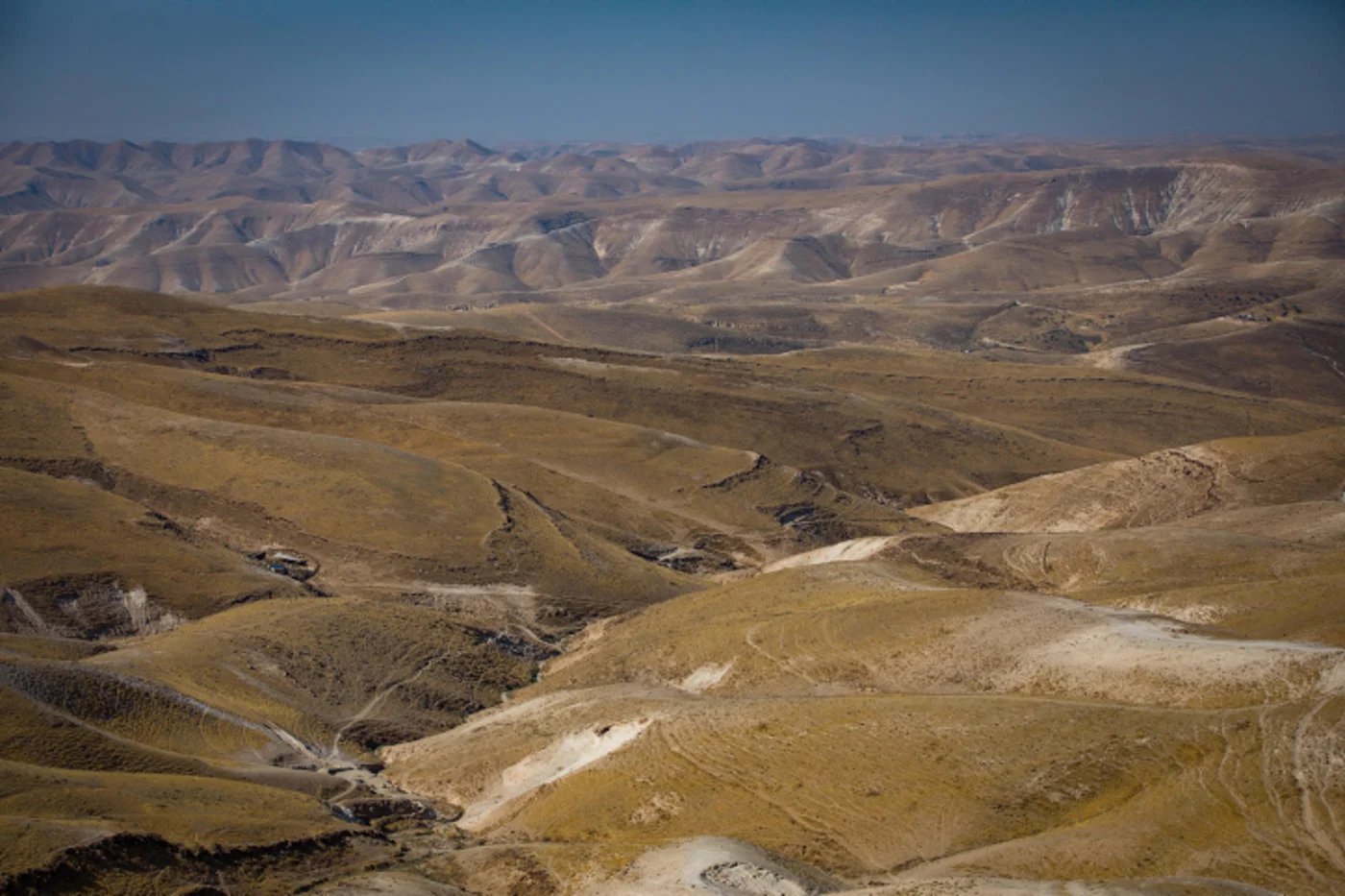 סוד דגלי בני ישראל, והאות הסופית שמופיע באמצע מילה בתנ"ך