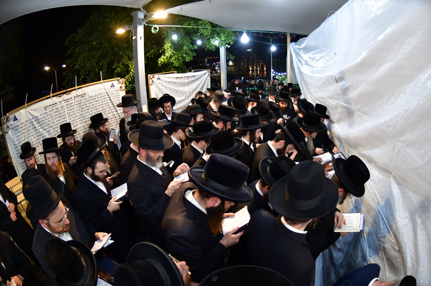 הילולת השל"ה הקדוש
