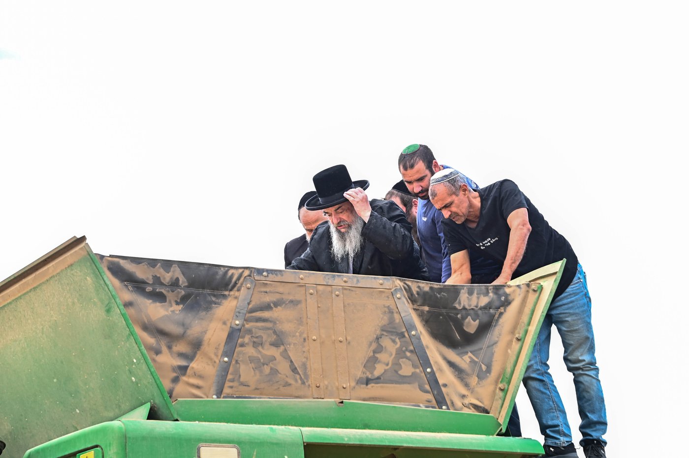 האדמו"ר מלעלוב בקצירת חיטים