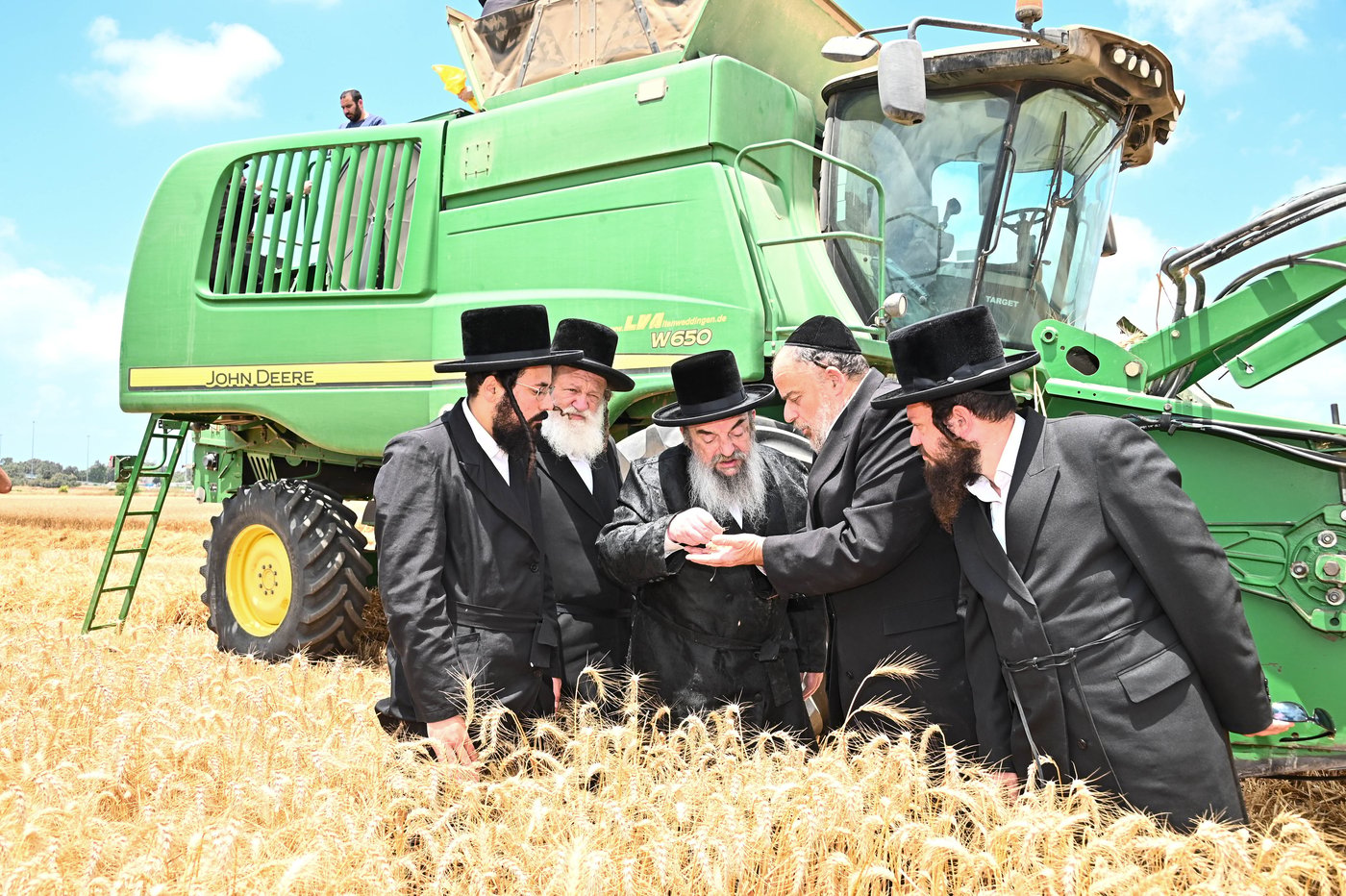 האדמו"ר מלעלוב בקצירת חיטים