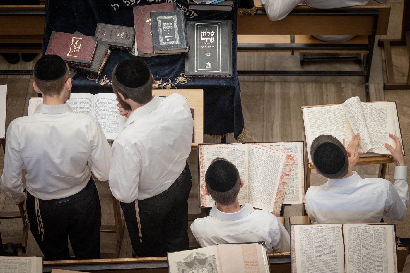 ממעלות ועד ירוחם: סקירה מקיפה על עולם "ישיבות הקיבוץ" | פרויקט חג 