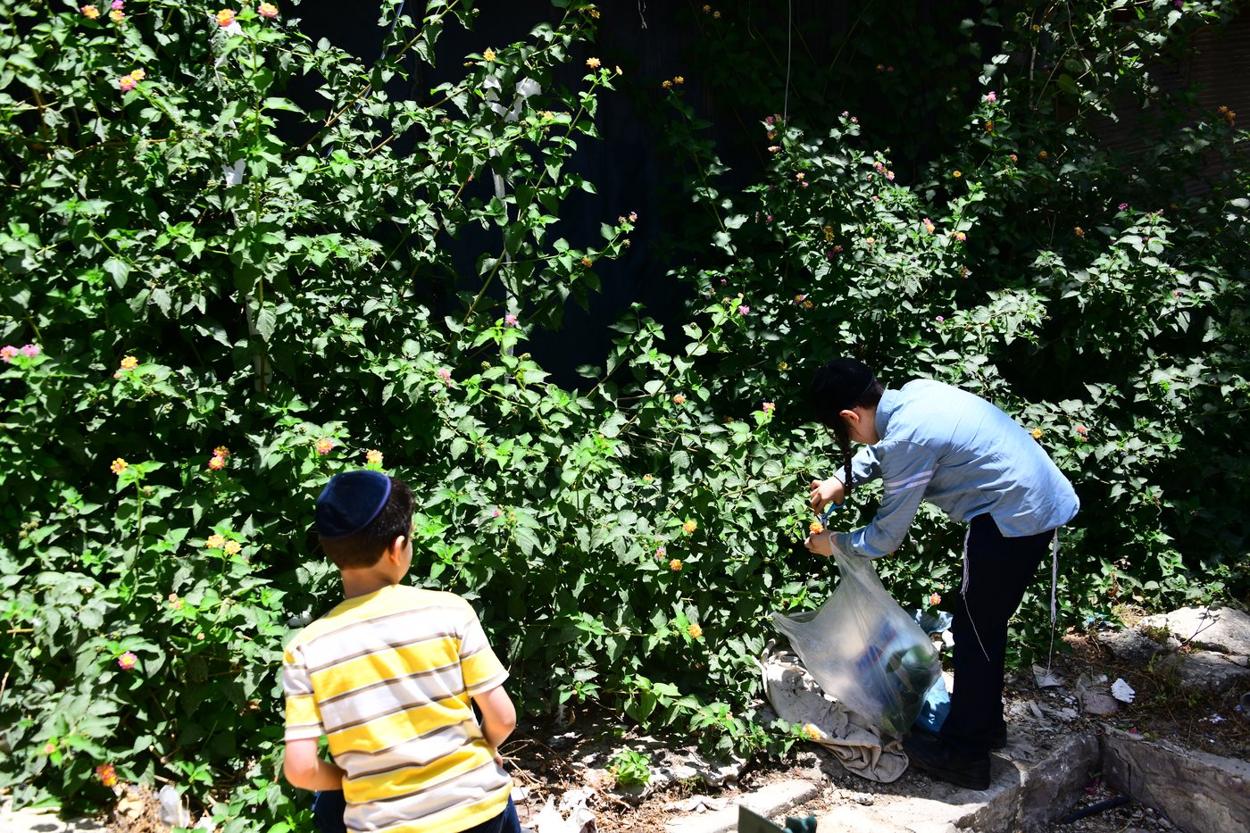 ערב שבועות תשפ"ה בעיר התורה והחסידות בני ברק