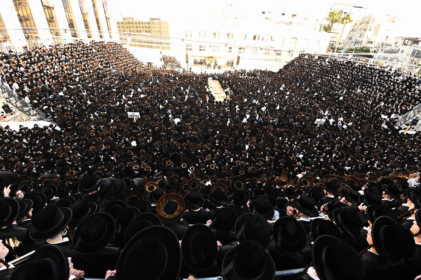 הכנסת ספר תורה לזכותו של האדמו"ר מבעלזא