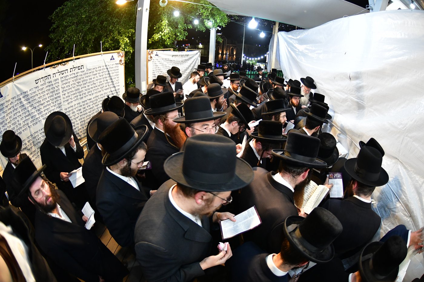 האדמו"ר משבט הלוי עם נדיבים בטבריה