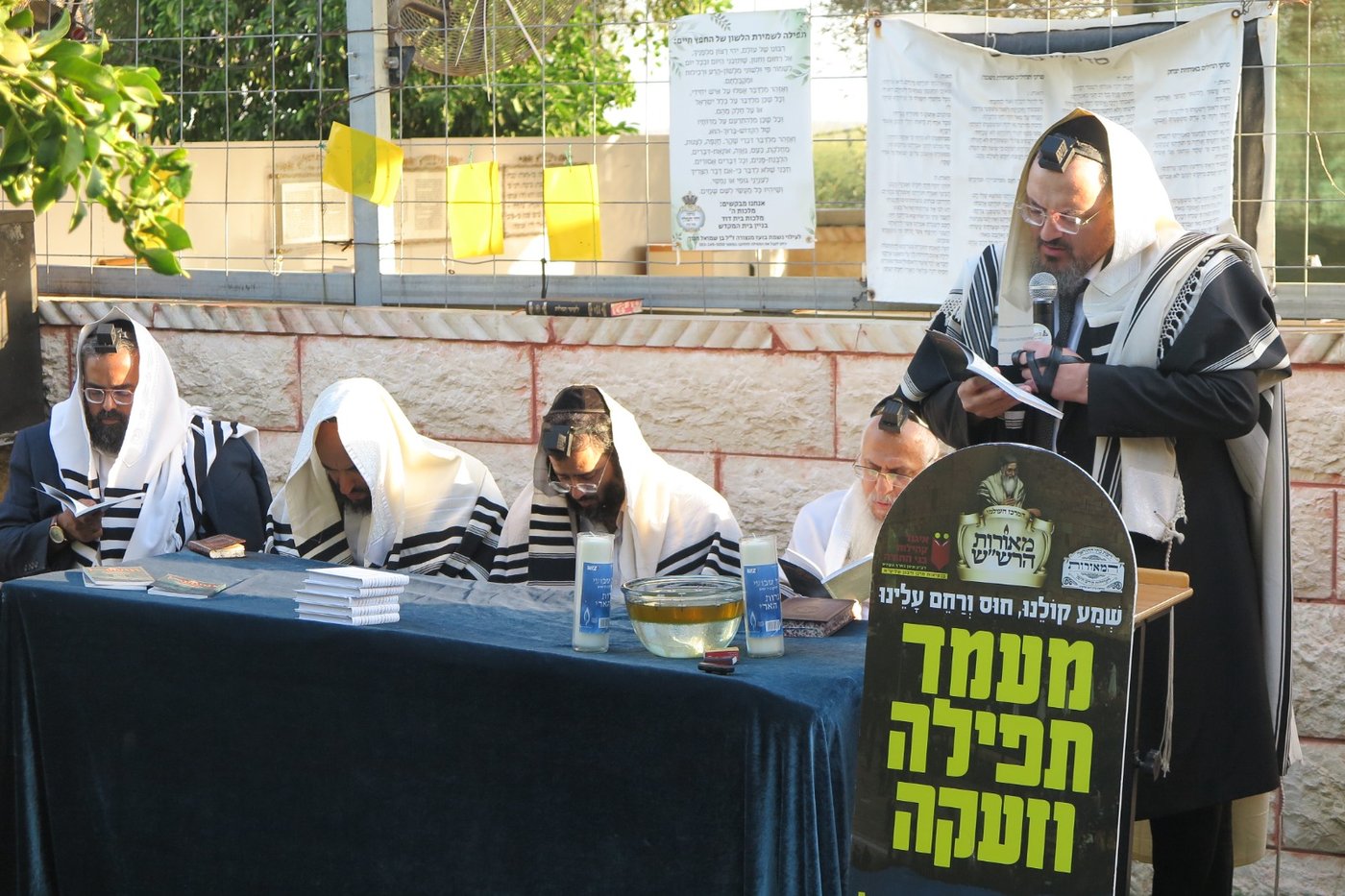 הילולת הצדיק מעג'ור