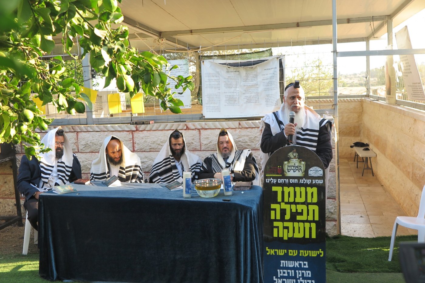 הילולת הצדיק מעג'ור