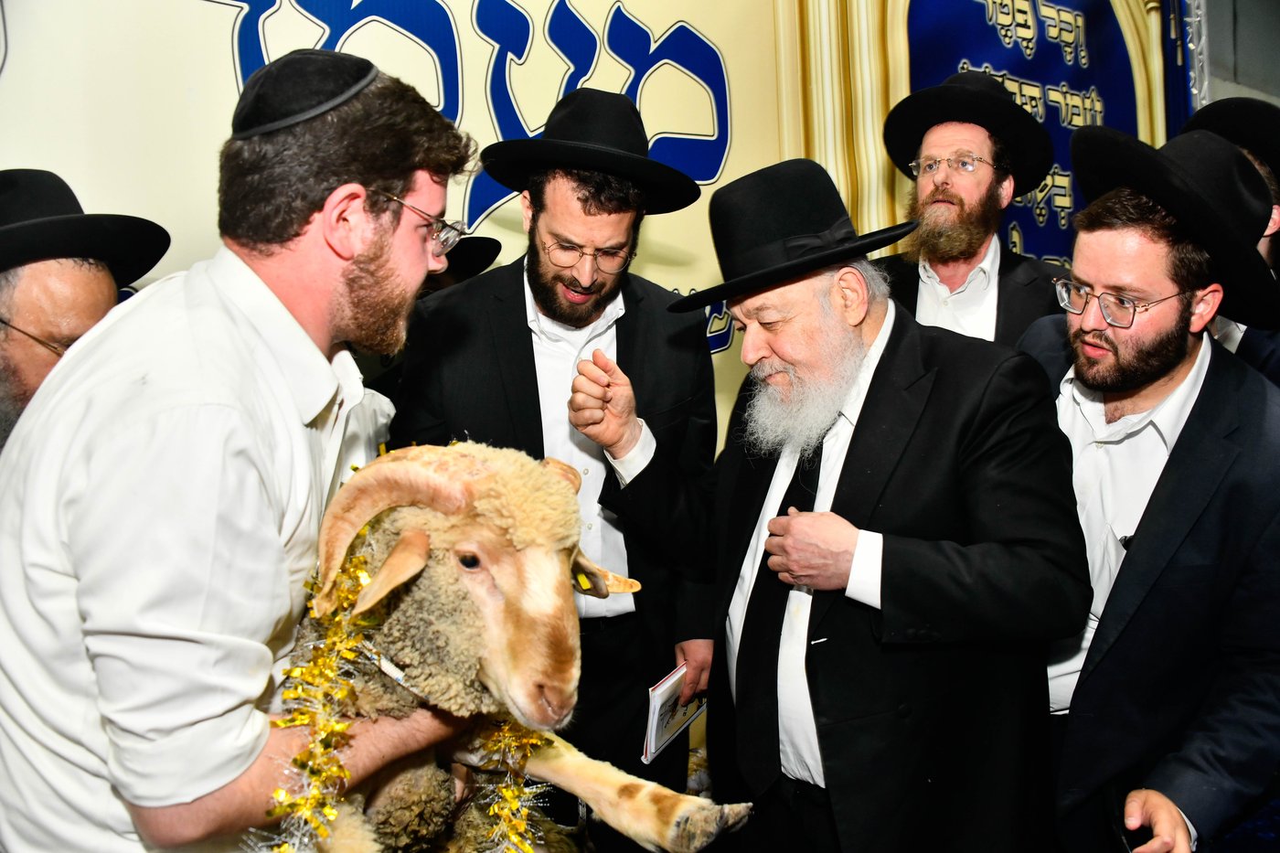 מעמד פדיון 'פטר חמור' בקהילת בית השם