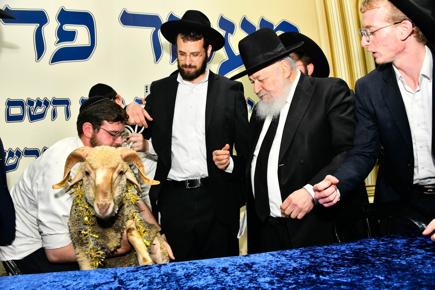 מעמד פדיון 'פטר חמור' בקהילת בית השם