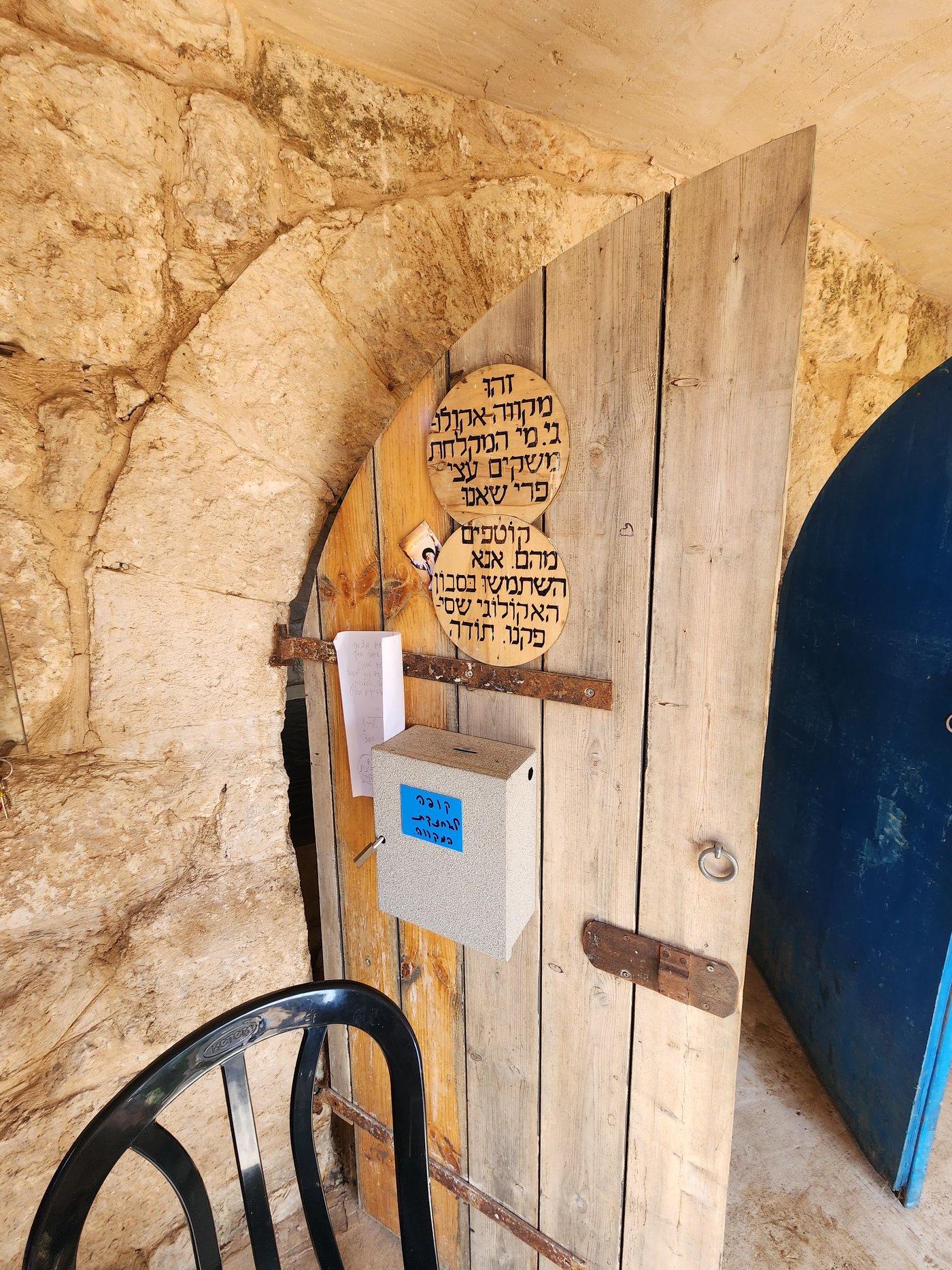 מקווה דגן