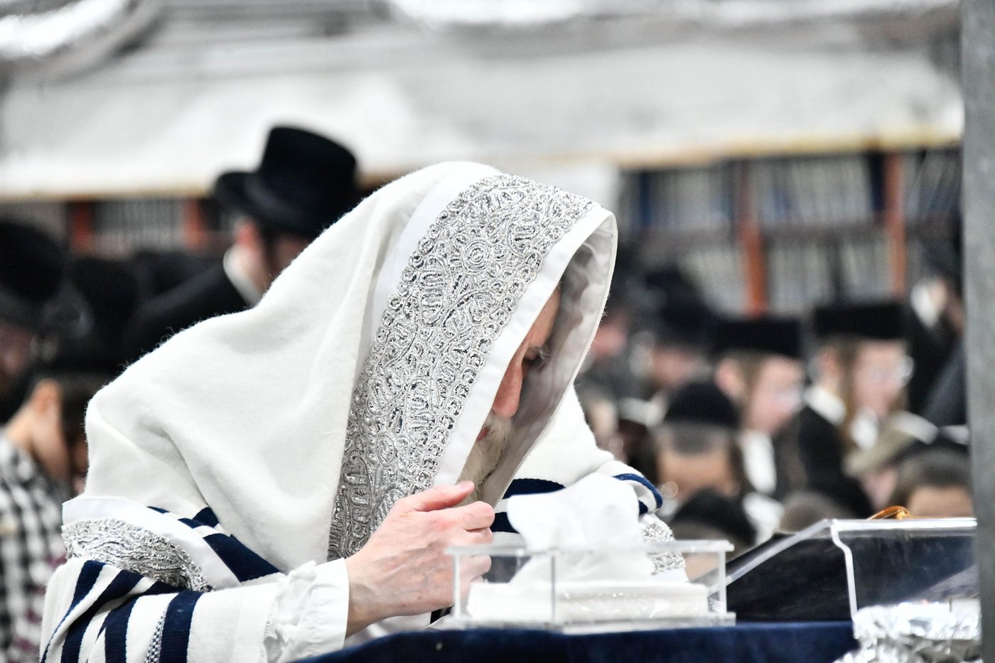 סליחות ראשונות בחצה"ק מכנובקא בעלזא
