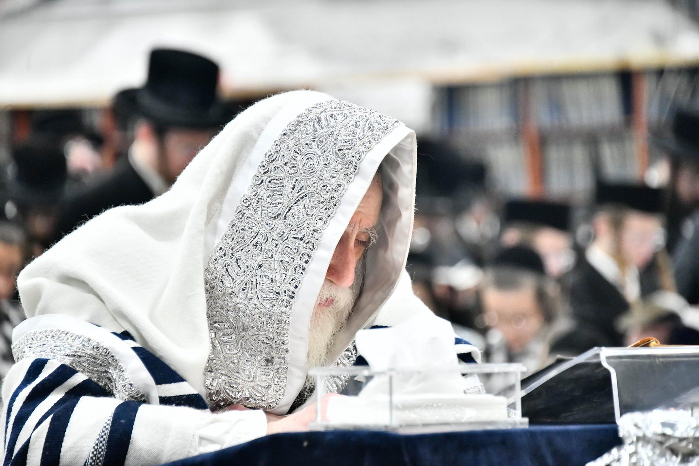 סליחות ראשונות בחצה"ק מכנובקא בעלזא