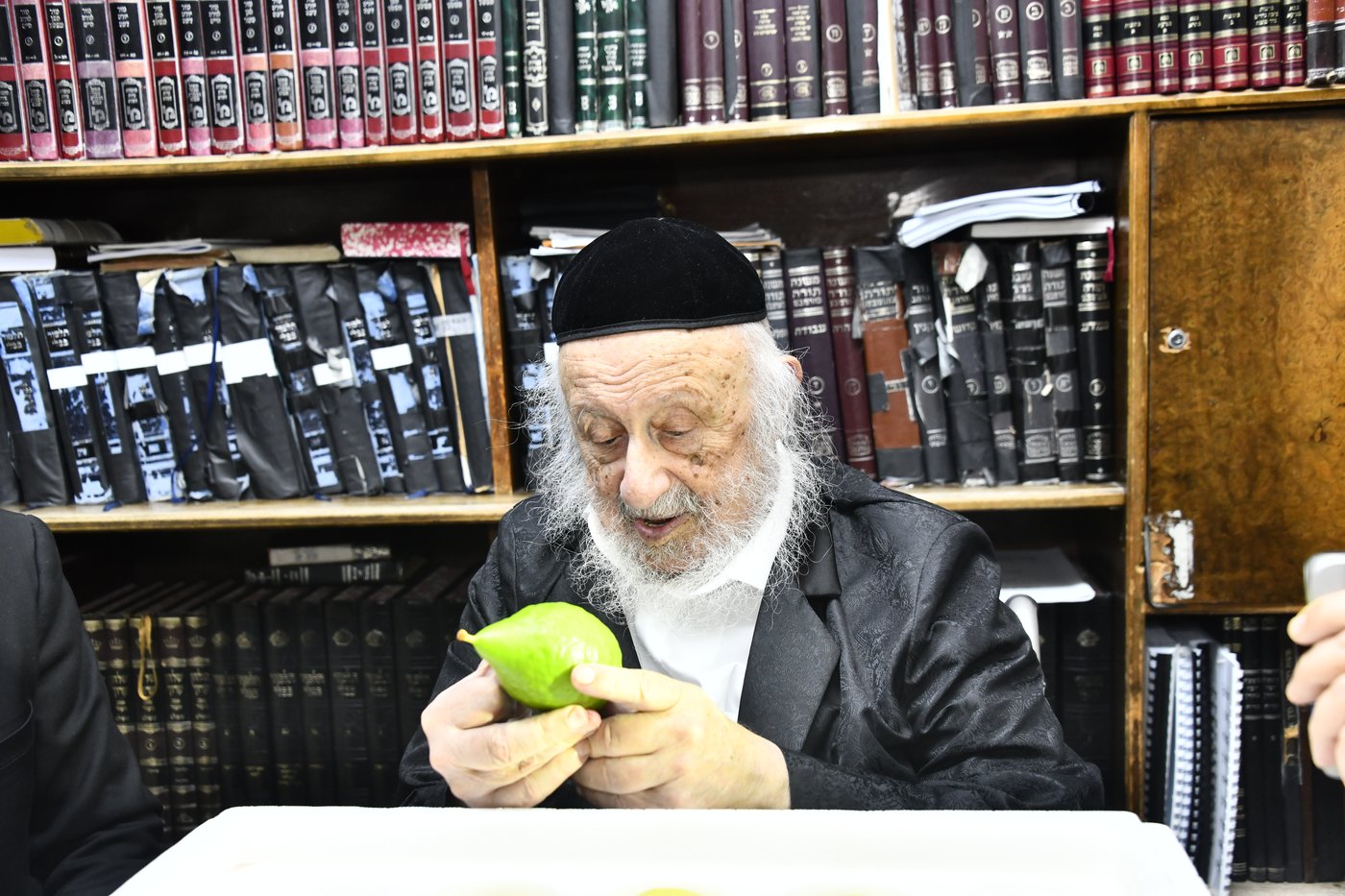 הגאון רבי ברוך דב פוברסקי בבדיקת אתרוגים