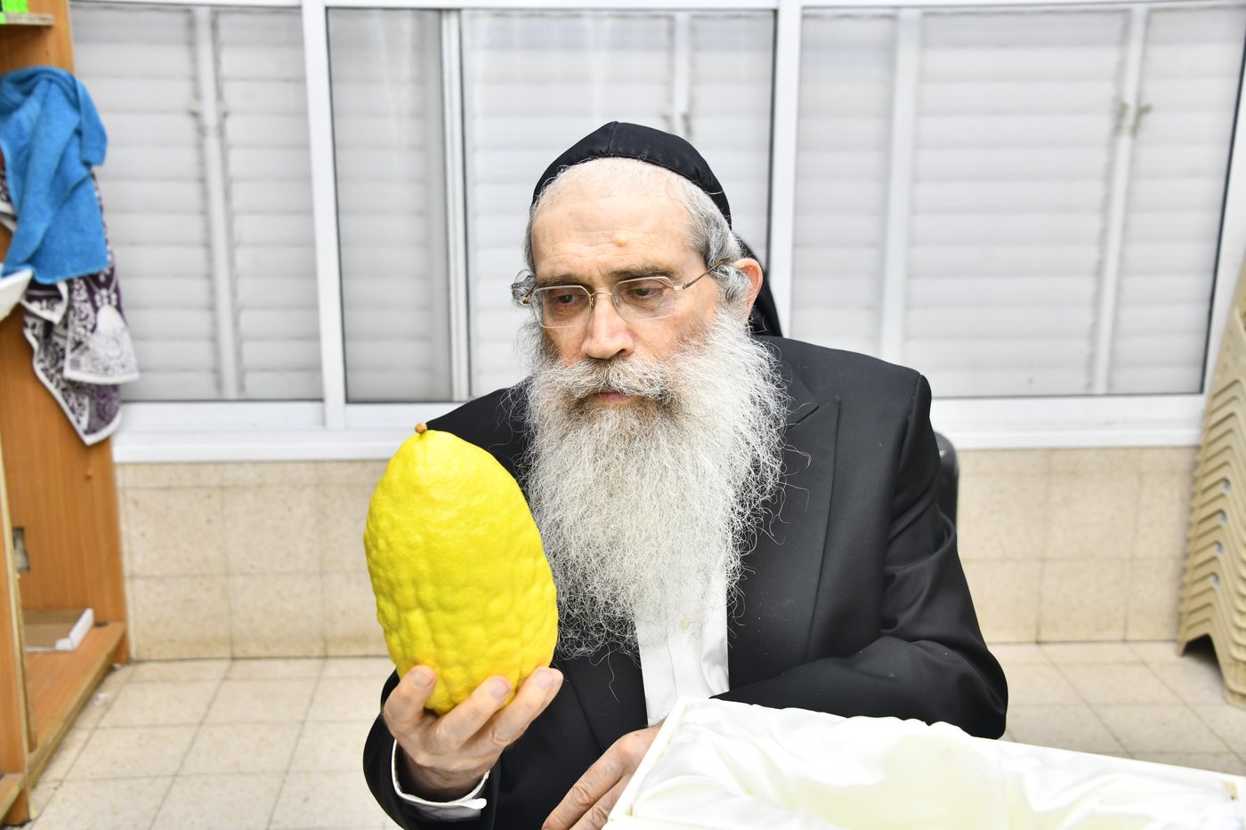 הגאון רבי שרגא שטיינמן בבדיקת אתרוגים