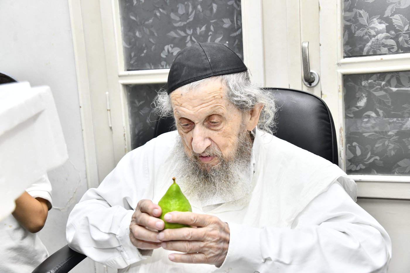 הגאון רבי דב לנדו בודק אתרוגים
