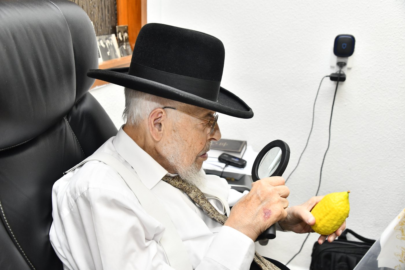 הגאון רבי יצחק אזרחי בבדיקת אתרוגים